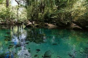 un' piccolo bellissimo lago nel un' protetta parco la zona tra montagne e alberi. foto