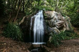 paesaggio. un' piccolo veloce cascata nel il selvaggio pittoresco natura. foresta, parco foto