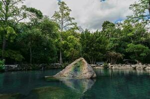 un' piccolo bellissimo lago nel un' protetta parco la zona tra montagne e alberi. foto