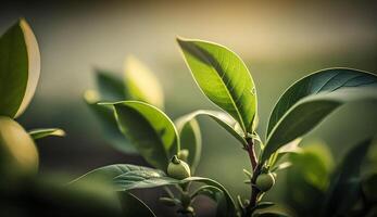 fresco verde le foglie su un' ramo vicino su generato di ai foto