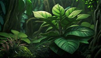 natura bellezza prospera nel tropicale foreste pluviali lussureggiante verde generato di ai foto