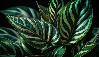 frondoso verde pianta nel vicino su modello botanico bellezza generato di ai foto