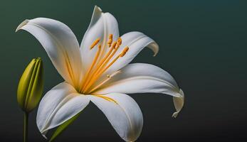 natura eleganza catturato giallo petali verde le foglie generato di ai foto