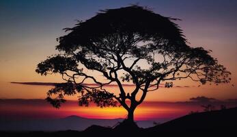 tramonto silhouette di acacia albero indietro illuminato bellezza generato di ai foto