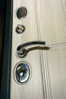 moderno affidabile metallo porta con di legno interno arredamento e triplicare foca foto