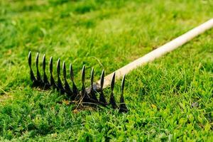 un' metallo giardino rastrello con un' di legno maniglia bugie su un' verde prato foto