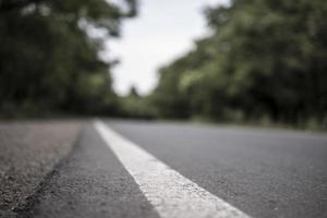 strada estiva tra gli alberi che dividono la linea foto