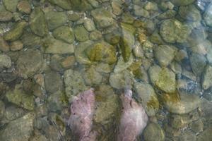 vacanza ai piedi del mare sulle pietre in acqua foto