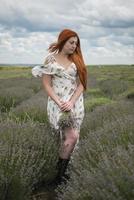 ritratto di una giovane ragazza dai capelli rossi in un abito bianco in un campo con un bouquet di lavanda foto