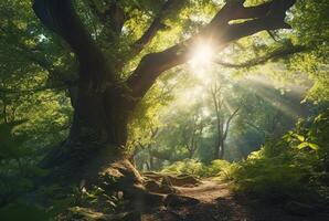 il bellezza di il mattina sole fra il grande alberi nel il mezzo di il foresta. generativo ai foto