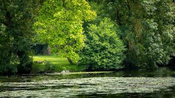 foresta vicino clisson villaggio nel Francia foto