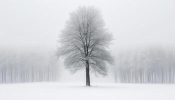 un' tranquillo inverno paesaggio neve coperto alberi nel un' nebbioso foresta generato di ai foto