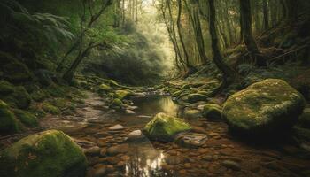 un' tranquillo scena di un' bagnato burrone nel un' tropicale foresta pluviale generato di ai foto