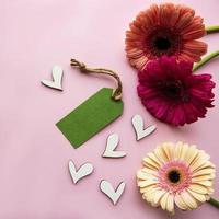 fiori di gerbera su uno sfondo rosa pastello foto