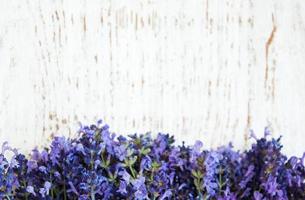 fiori di lavanda su un vecchio sfondo di legno foto