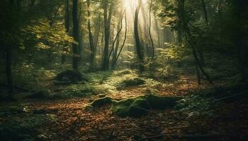 tranquillo sentiero venti attraverso misterioso autunno foresta generato di ai foto