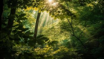 Alba brilla su vivace foresta, natura bellezza generato di ai foto