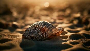 d'oro spirale conchiglia, stella marina adornano il sabbia generato di ai foto
