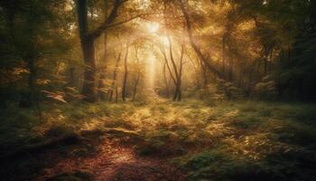 tranquillo foresta sentiero, autunno le foglie scricchiolare sotto i piedi generato di ai foto