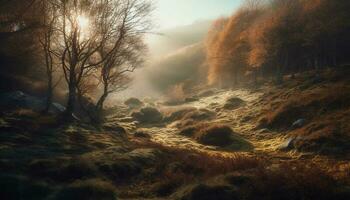tranquillo autunno foresta, mistero nel il nebbia generato di ai foto