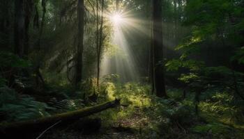 tranquillo foresta scena, mistero nel il nebbia generato di ai foto