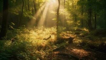 a piedi attraverso il tranquillo foresta, circondato di bellezza generato di ai foto