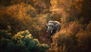 pascolo elefante nel autunno foresta, zanne splendente generato di ai foto