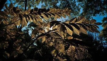 vivace autunno le foglie adornano tranquillo foresta paesaggio generato di ai foto