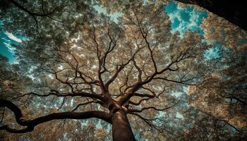 silhouette di albero ramo contro latteo modo fondale generato di ai foto