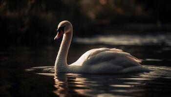 maestoso cigno di tranquillo scena riflette naturale bellezza generato di ai foto