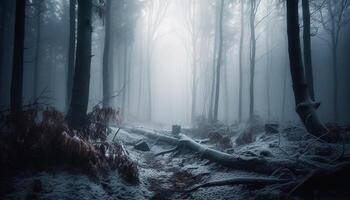 misterioso foresta, un misterioso bellezza nel natura generato di ai foto