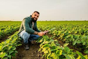 ritratto di contadino chi è coltivando soia. lui è soddisfatto con bene progresso di impianti. agricolo occupazione. foto