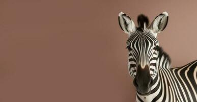 burchell savana zebra isolato su un' orizzontale sfondo con copia spazio. generativo ai foto