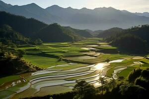 verde terrazzato riso campo. ai generativo foto