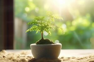 piccolo albero in crescita con luce del sole nel giardino. eco concetto luminosa, ai generativo foto