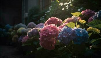 vivace ortensia cespuglio fioriture con fresco rosa petali generato di ai foto