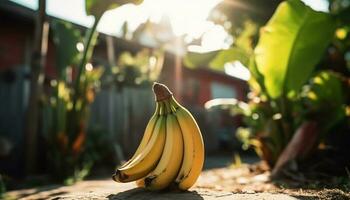 maturo biologico Banana, fresco a partire dal tropicale azienda agricola generato di ai foto