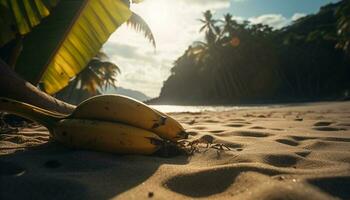 tropicale clima, palma albero, sabbia, sole, Noce di cocco generato di ai foto