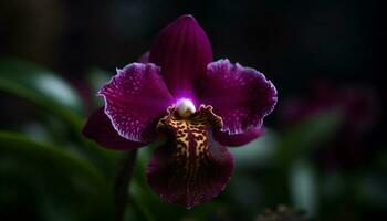 esotico falena orchidea fioriture con delicato eleganza generato di ai foto