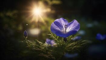 vivace Fiore di campo prato, un' colorato mazzo di natura bellezza generato di ai foto