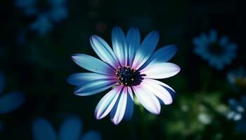 vivace camomilla fiorire nel Fiore di campo prato, bellezza nel natura generato di ai foto