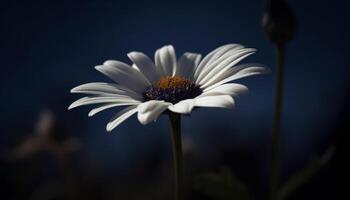 vivace Fiore di campo prato vetrine delicato camomilla e gerbera margherite generato di ai foto