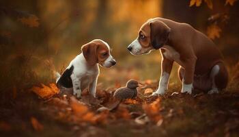 giocoso beagle e terrier seduta nel autunno erba, godendo natura generato di ai foto