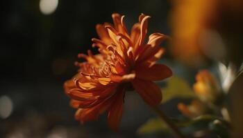 vivace gerbera margherita mazzo vetrine naturale bellezza nel colorato prato generato di ai foto