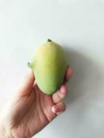 mano Tenere un' verde Mango su un' bianca sfondo foto