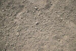 Marrone schiacciato suolo torba campo struttura Maggio essere Usato come un' sfondo sfondo foto