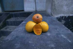 maturo giallo Mango frutta su un' nero sfondo. tropicale frutta. foto