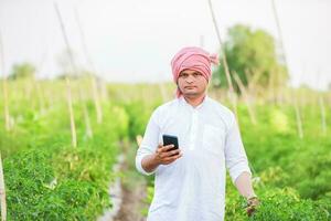 giovane indiano contadino mostrando inteligente Telefono , contadino parlando su Telefono nel azienda agricola, contento indiano contadino foto