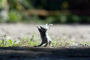 gatto giocattolo foto nel all'aperto foto con sfocato sfondo