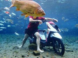 Klaten, umbul pongok, Indonesia, luglio 22, 2022, un' uomo assunzione un' foto sotto chiaro acqua